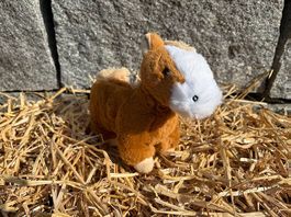Das Pferdchen Balthasar  zum Adoptieren