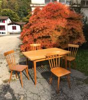 Set von 4 Sprossenstühle mit Ausziehtisch, Victoria, 50er