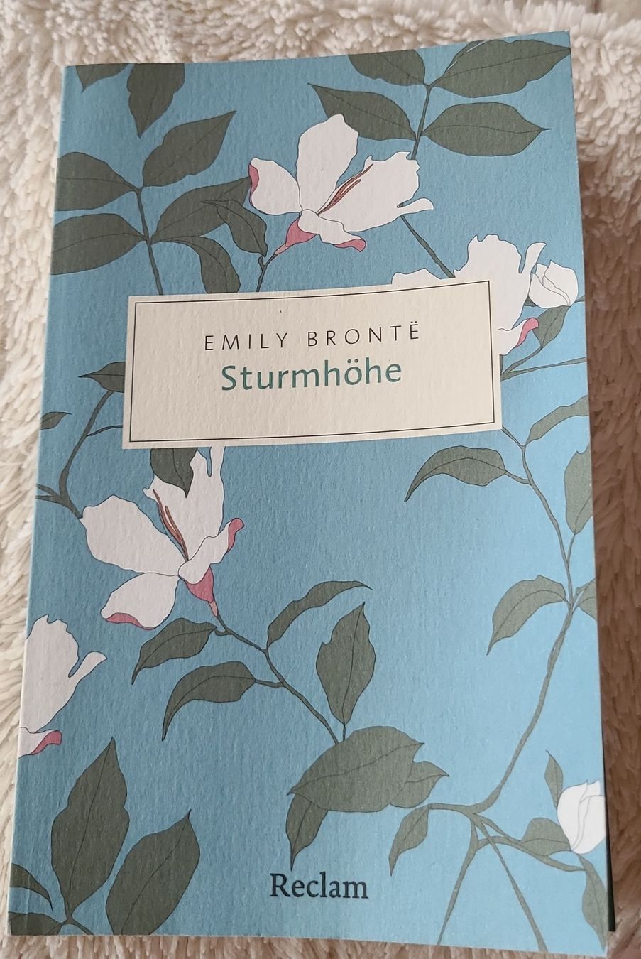 Bücher: Emily Brontë Sturmhöhe Buch  – Gebraucht aus Horgenberg von Klatschmohnmaria
