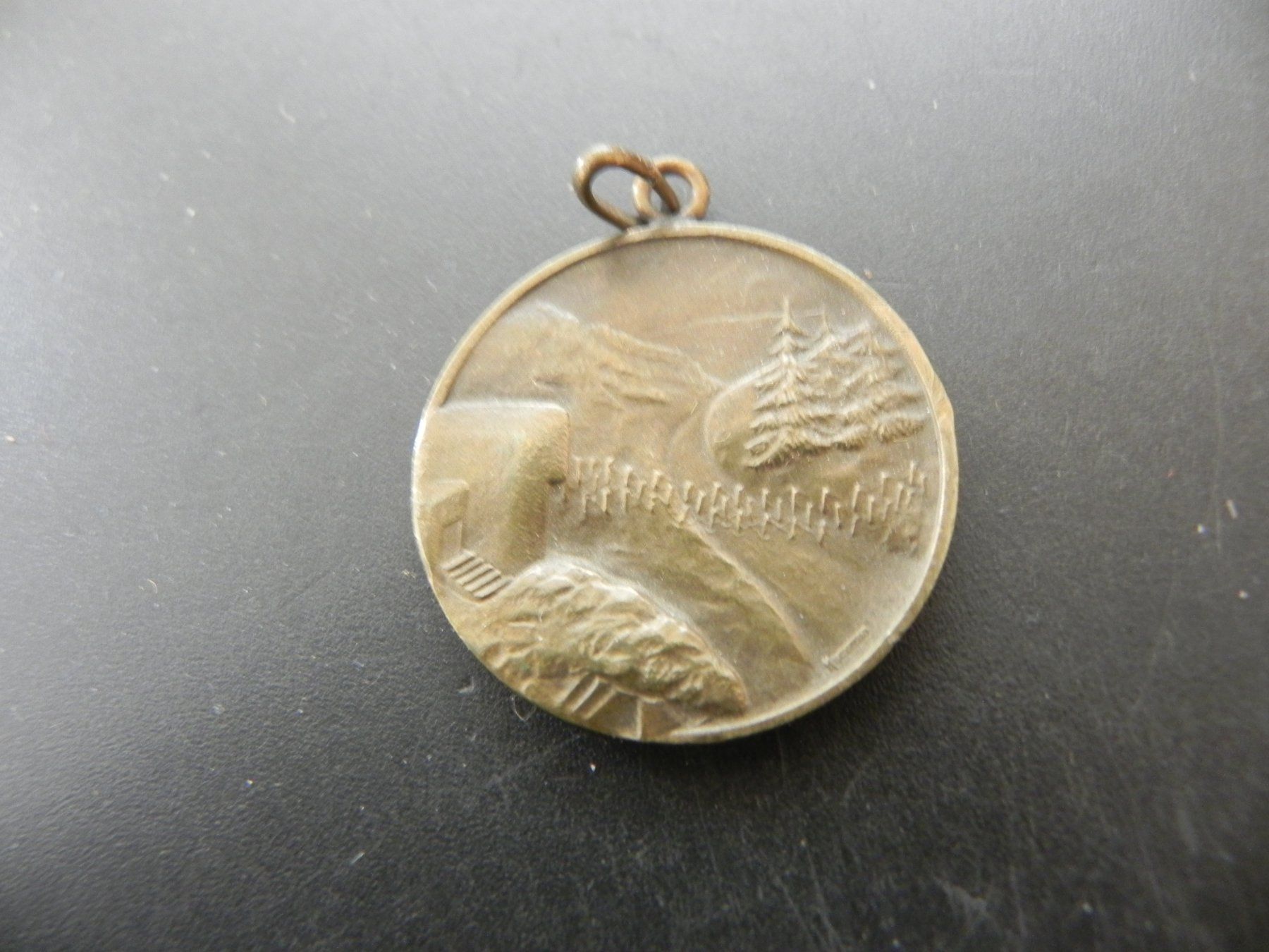 Medaglie: Medaille Brigade Frontière Noël 1939 – Usato da Biel/Bienne venduto da Gogolozi 1