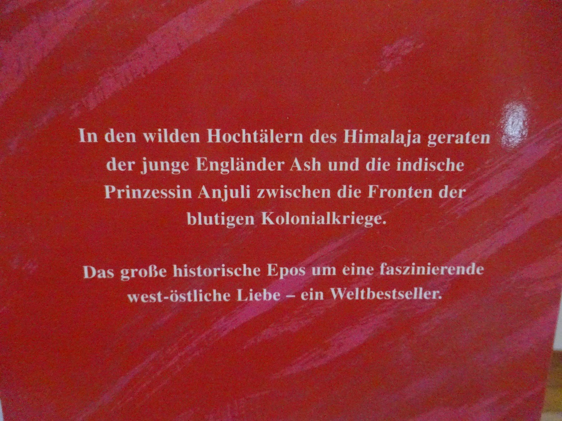 Libri: 2 neue Romane - Asien – Nuovo (secondo la descrizione) da Zofingen venduto da Justizia_01 3
