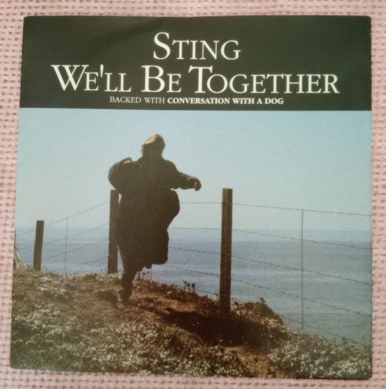 Dischi in vinile: STING - We'll Be Together - disque 7" vinyl 1987 – Usato da Le Locle venduto da borgespatricia