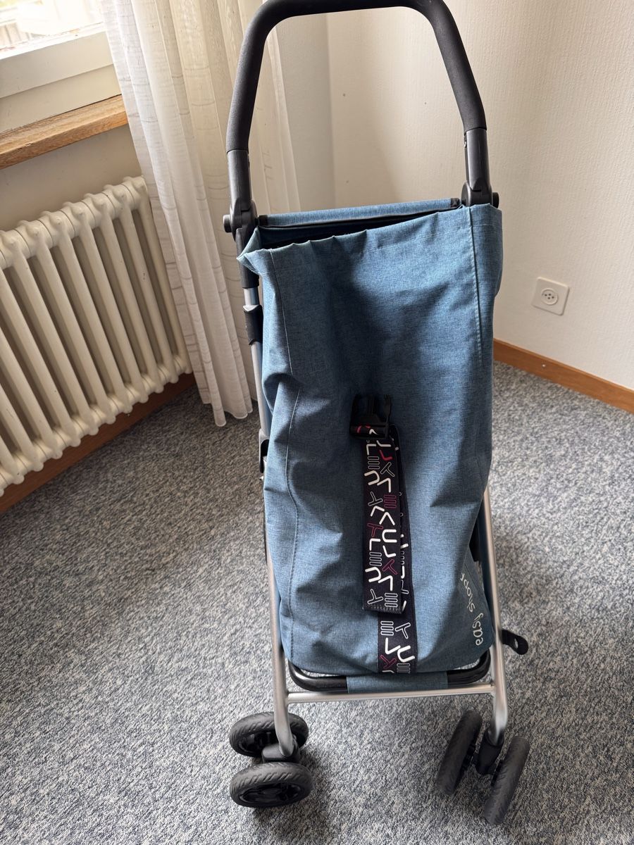 Altro per la casa: Chariot de courses – Usato da Neyruz FR venduto da Jlam 1