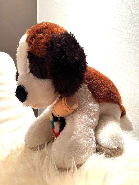 Giocattoli: +  BeRnaRdiNeR  PLüsChhuNd  + – Usato da Winkel venduto da zeho 1