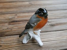 Porzellanfigur ENS Gimpel, Dompfaff o. auch Blutfink genannt