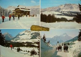 SÖRENBERG Gasthaus und Ferienheim Salwideli