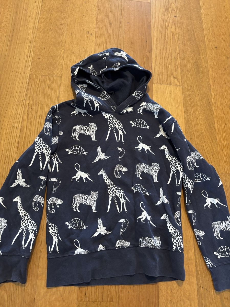 Pullover & Sweatshirts: 3 Kinder Pullover Grösse 140 – Gebraucht aus uster von kar_9rxp 1