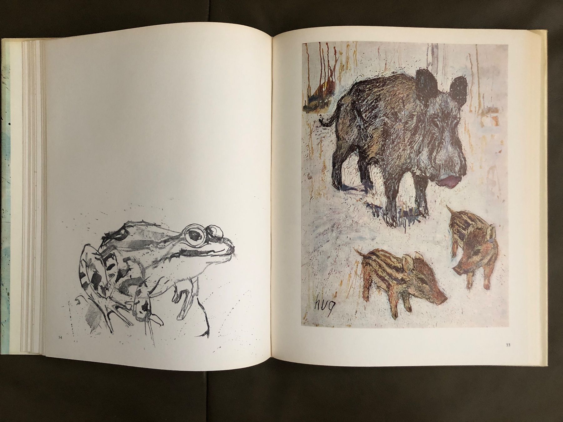 Libri: Buch Fritz Hug Maler der Tiere – Usato da Nunningen venduto da anclaudia 4