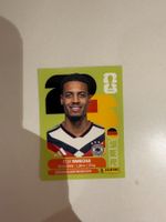 FIFA WM 2026 FELIX NMECHA GER 12