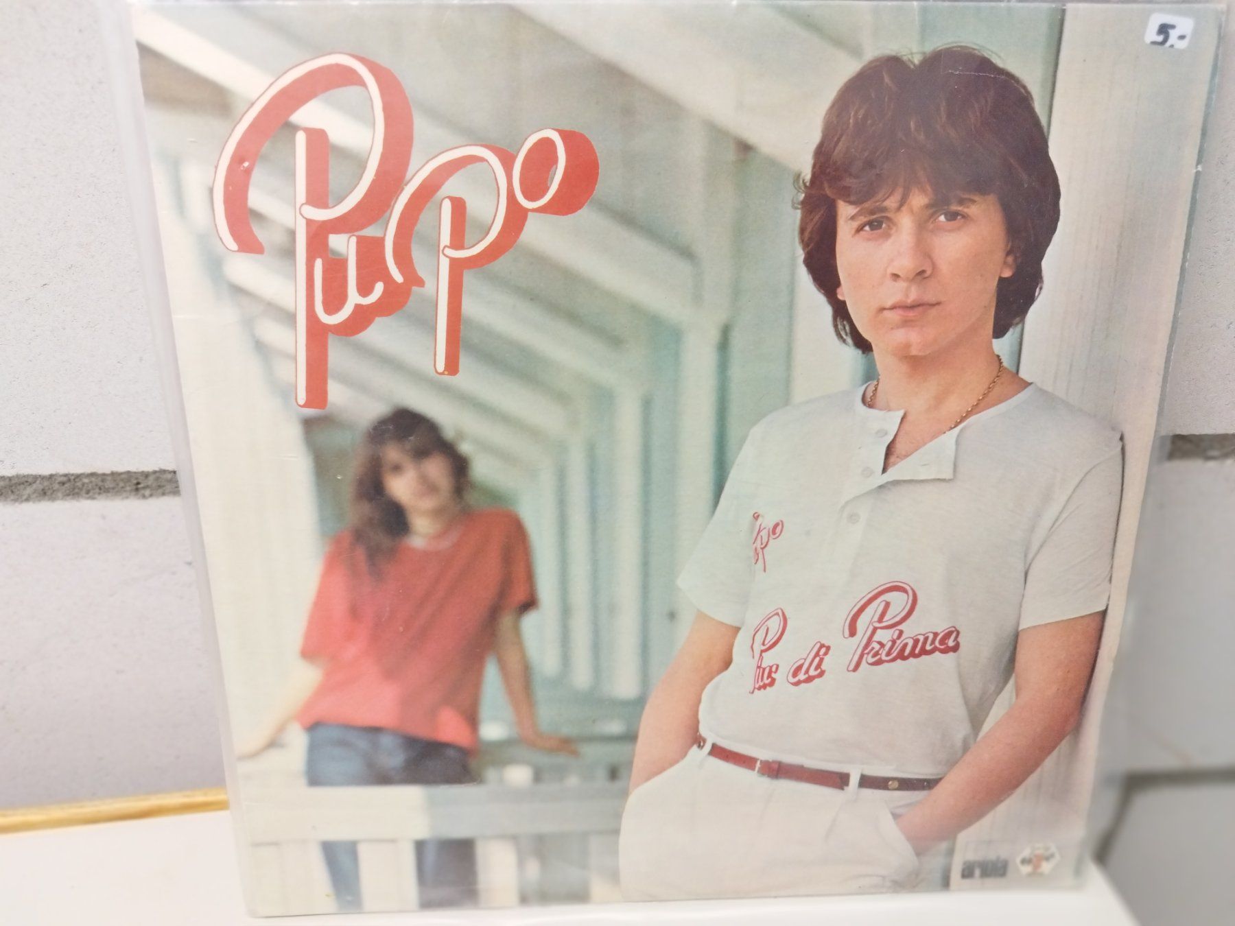Dischi in vinile: LP. Ab Fr 1.--  siehe Foto – Usato da Lupfig venduto da fred-feuerstein
