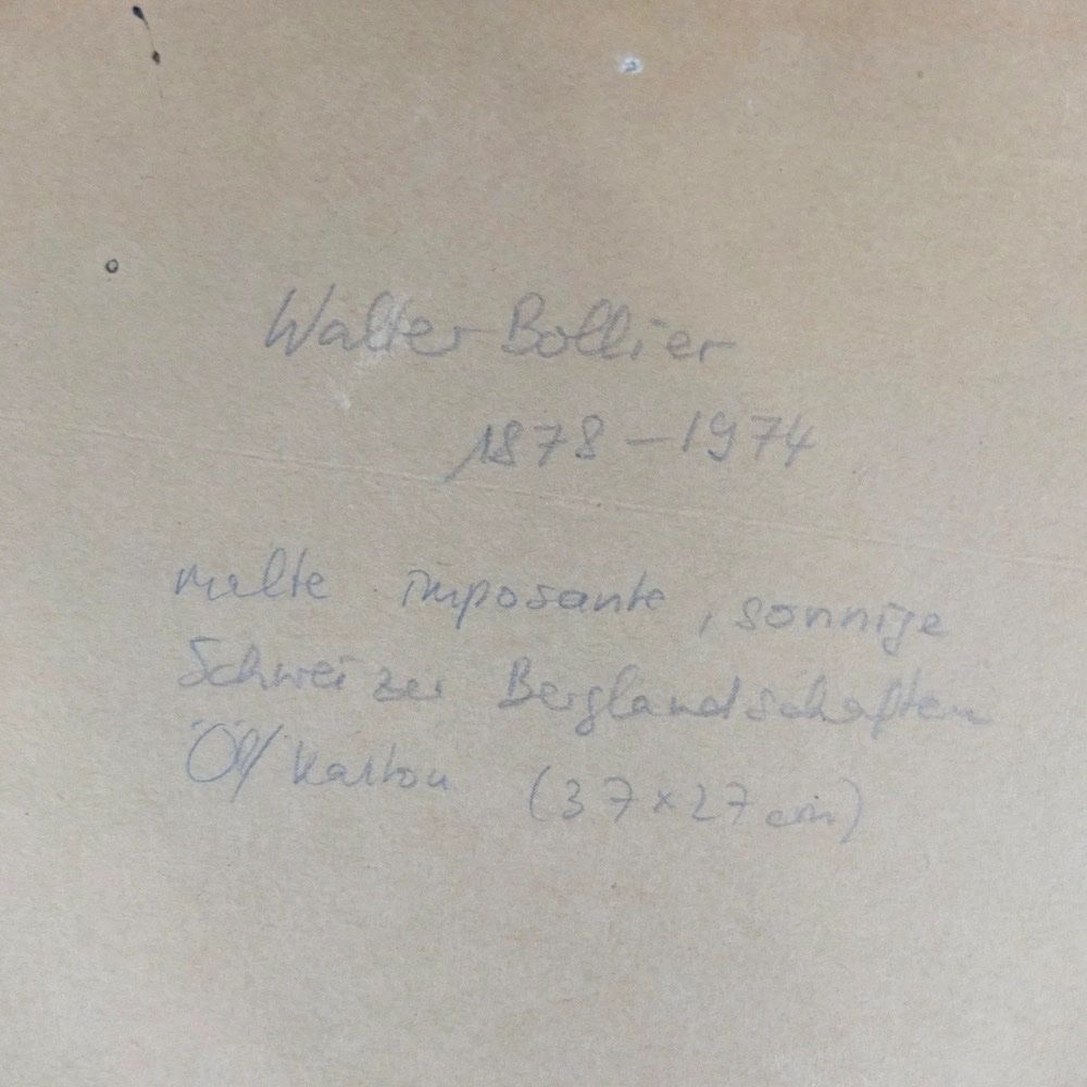 Dipinti: Walter Bollier, Gemälde, Schweizer Berglandschaft – Usato da Basel venduto da Brocki-auf-dem-Wolf 8