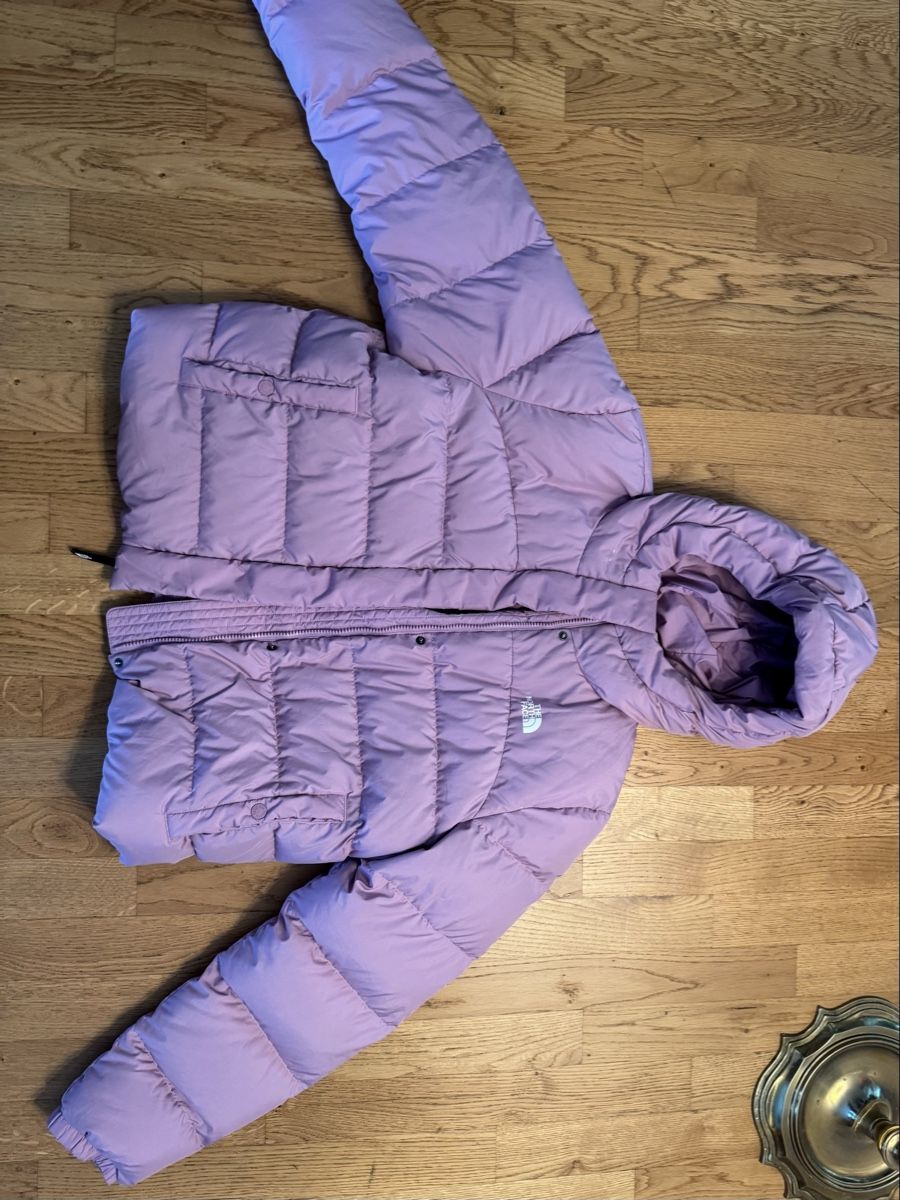 North Face Giacche: North Face Jacke – Usato da Rüegsauschachen venduto da nai_2jfm