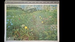 Schulwandbild: Wiese von Hans Schwarzenbach mit Kommentar