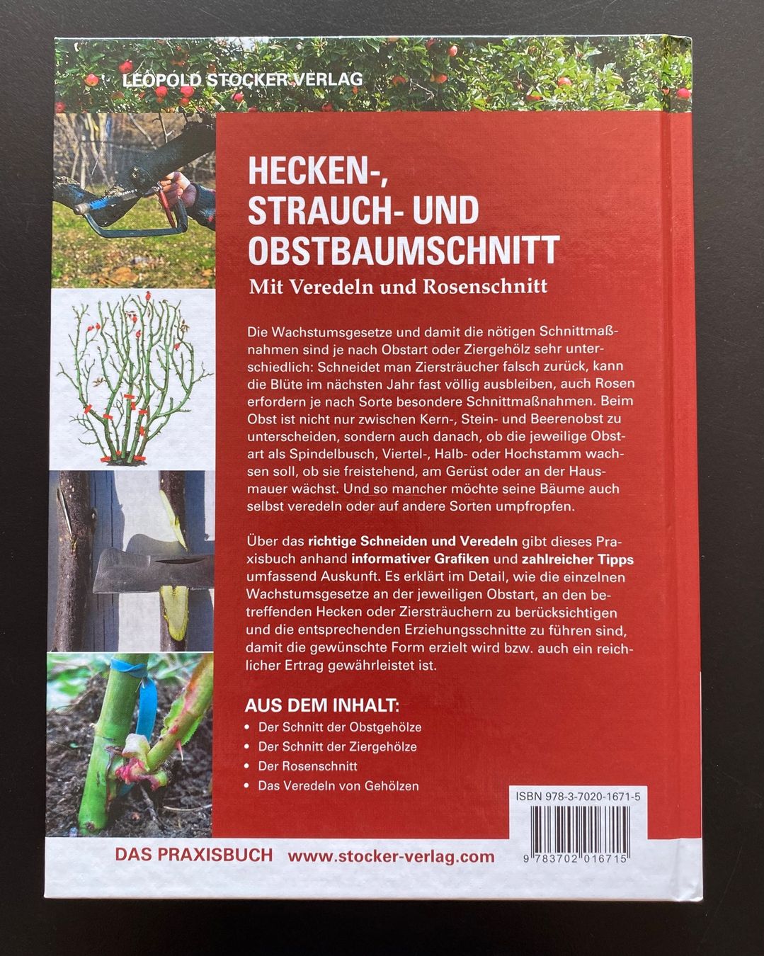 Libri: Hecken- Strauch- und Obstbaumschnitt – Usato da Nussbaumen AG venduto da schuba2000 1