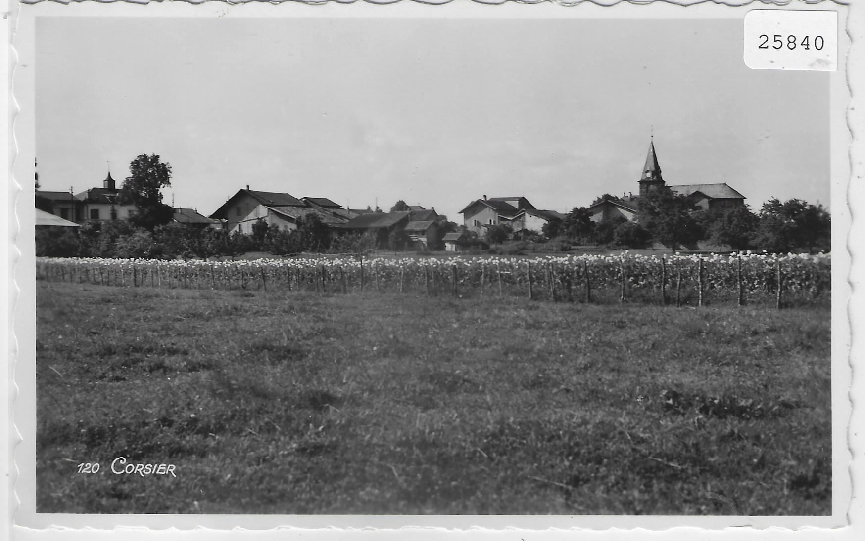 Cartoline postali: Corsier GE - Vue generale – Antico da Ettingen venduto da Kartenplanet