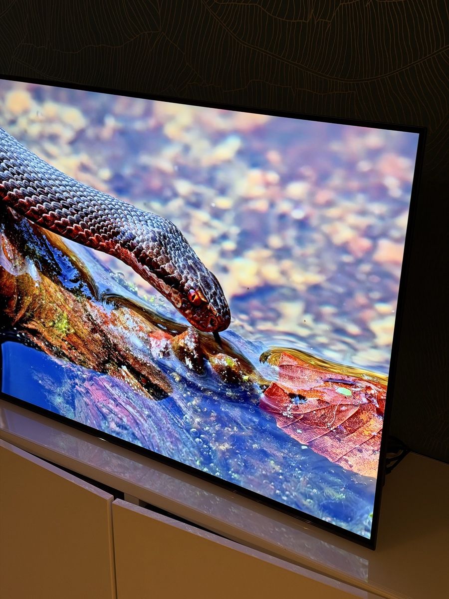 Sony Televisori: Sony bravia oled 55  – Nuovo (secondo la descrizione) da Cointrin venduto da res_nvs8 5