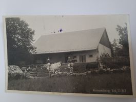 Alte Ansichtskarte Romontberg Restaurant Fritz Schluep R3