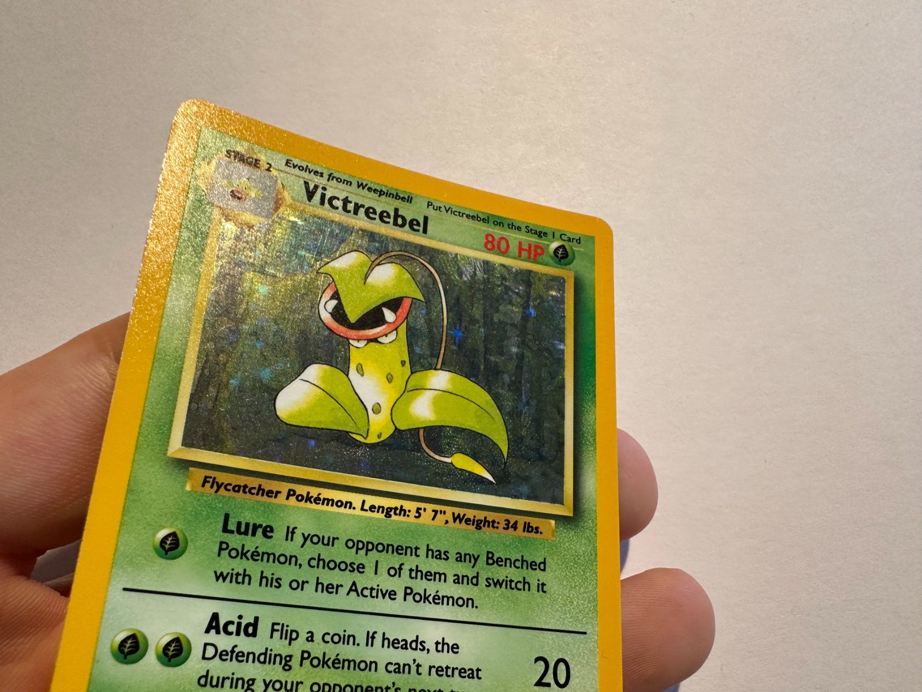 Pokémon Sammelbilder & Trading cards: Victreebel holo Jungle No Symbol ERROR EN – Gebraucht aus Hagendorn von Pokecollectorch 4