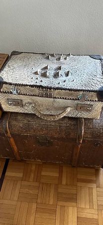 Valise rare et malle +  La valise 🐊 albinos