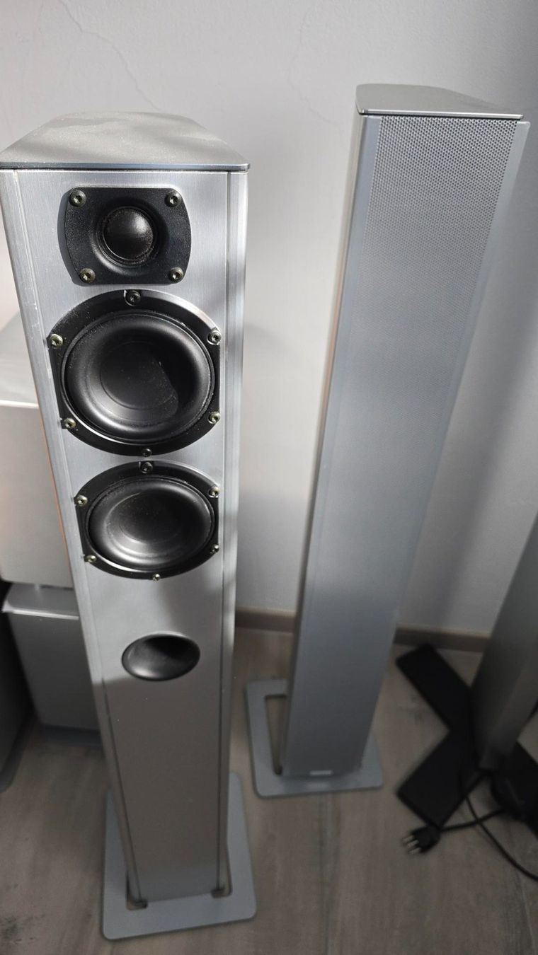 Piega Casse acustiche: Piega TS5 Lautsprecher – Usato da Wohlen AG venduto da Mikisal