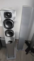 Piega TS5 Lautsprecher
