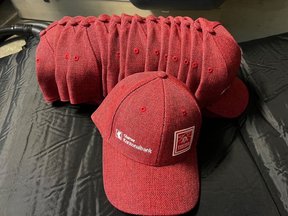 CAP ESAF 2025 x 15 (D'occasion) à Léchelles pour CHF 101 – avec ...