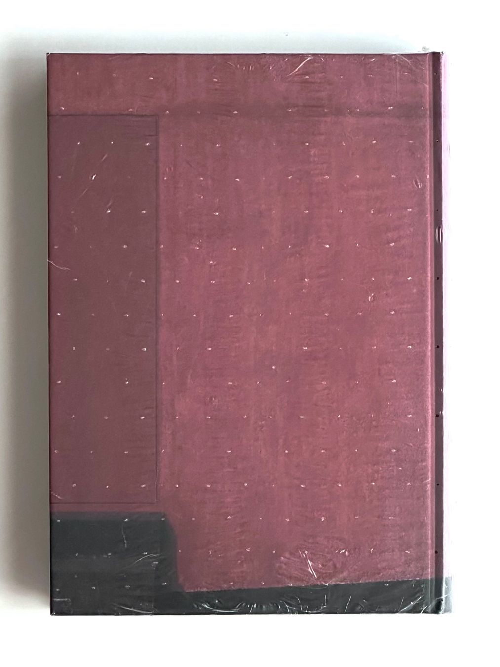 Bücher: Bearth & Deplazes Konstrukte/Constructs – Neu und originalverpackt aus Zürich von arn__ 1