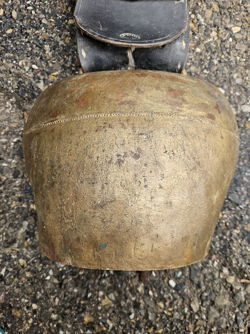 Campanacci mucche: Schelle mattle? – Usato da Schwellbrunn venduto da Rosaroterpanter 3