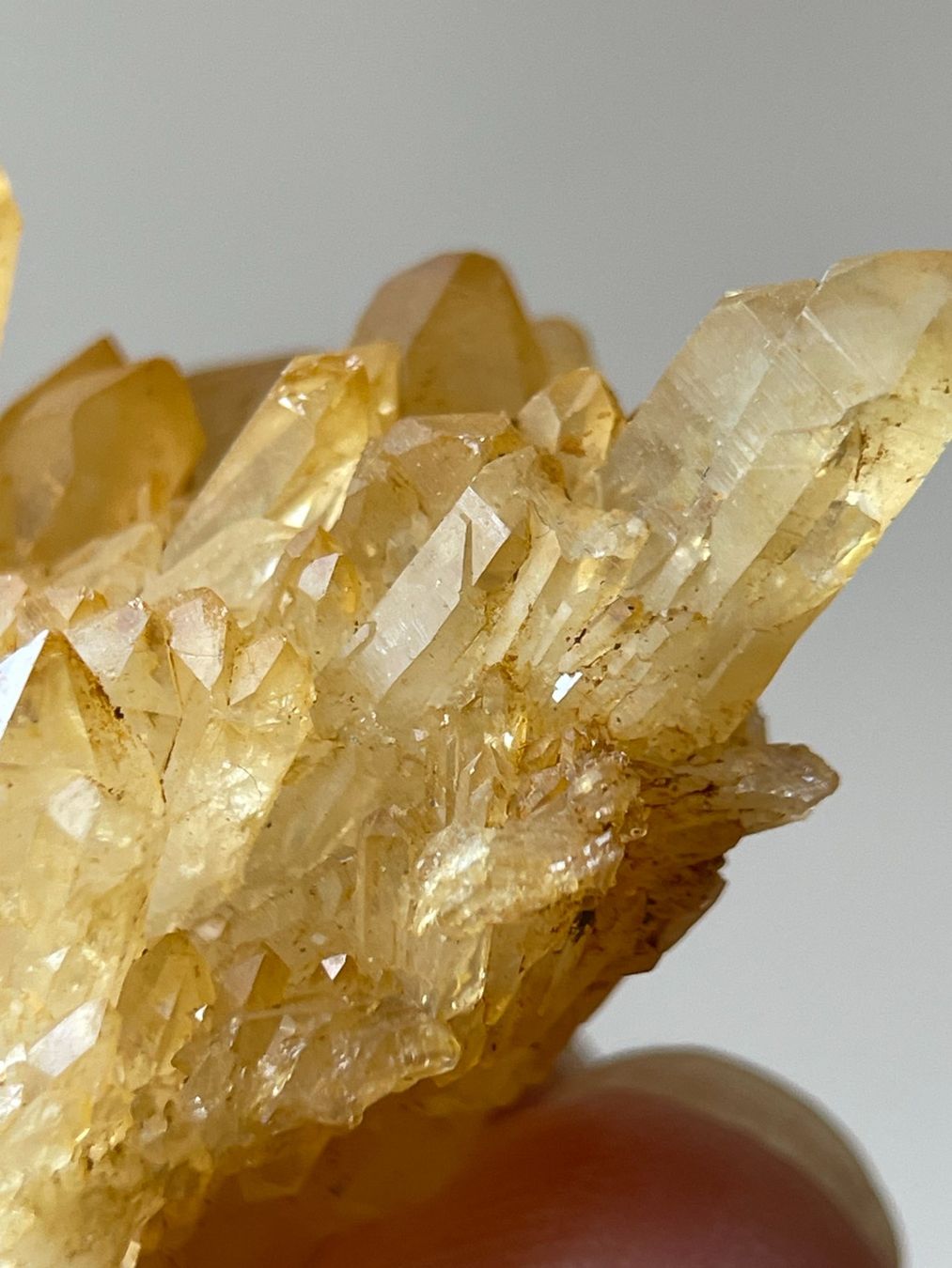 Minerali & Pietre curative: Tibet-Quarz | Citrin-Cluster – Nuovo (secondo la descrizione) da Schiers venduto da sisikristall 3