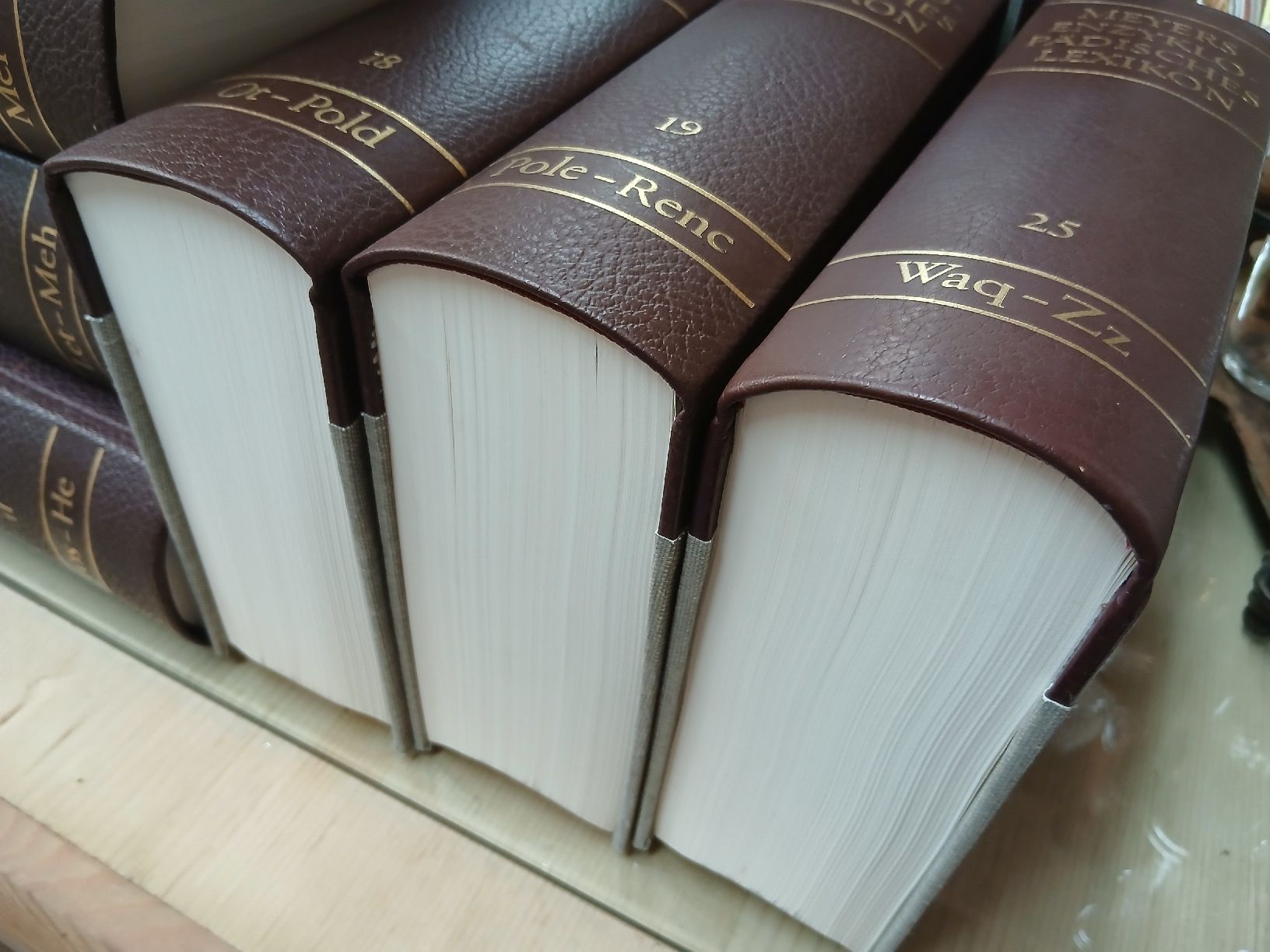 Libri: Meyers Enzyklo-Pädisches Lexikon – Nuovo (secondo la descrizione) da Adligenswil venduto da karinma 5
