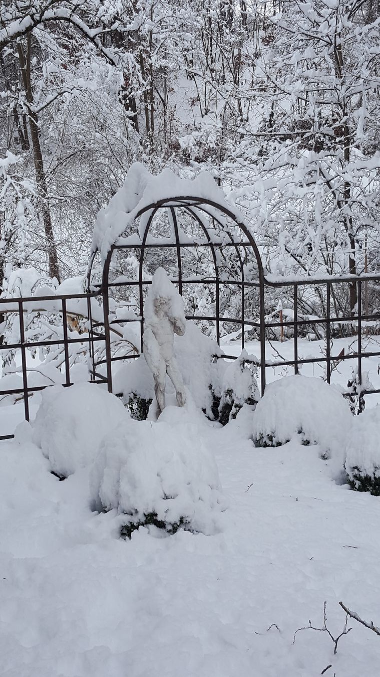 Altre Decorazioni per giardino: Pavillon / Rankgerüst – Usato da Ehrendingen venduto da leo875 1