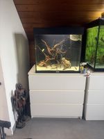 Aquarium mit Schrank