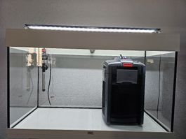 Ein gutes Einsteigerset in das Aqarium Hobby 