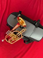 B-Cornet in Goldmessing