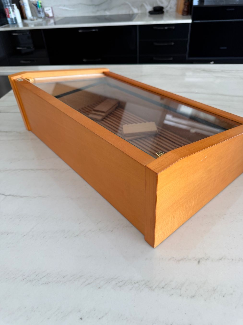 Adorini Humidor per sigari: Humidor Adorini Vega – Usato da Safenwil venduto da Corahund 2