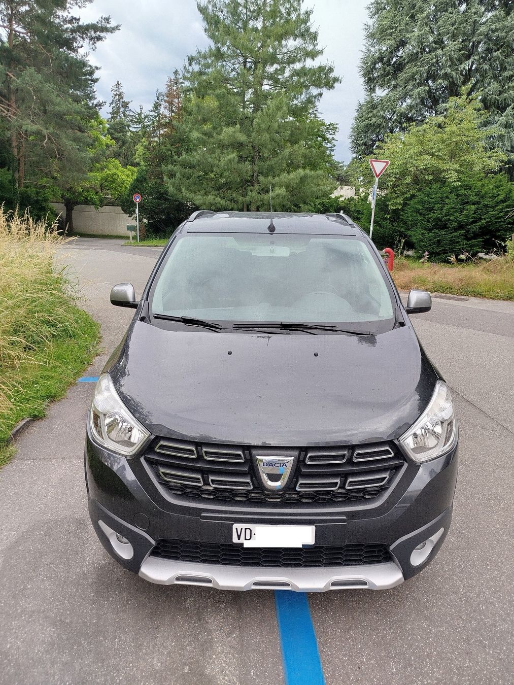 Dacia Automobili: DACIA Lodgy 1.2 T Stepway 7 places – Usato da Lausanne venduto da mozi06 2