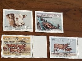 Namibia Briefmarken Simmentaler Rindvieh, Kühe 1993 simmenta