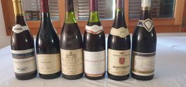 6 Flaschen ältere Burgunder (L1)