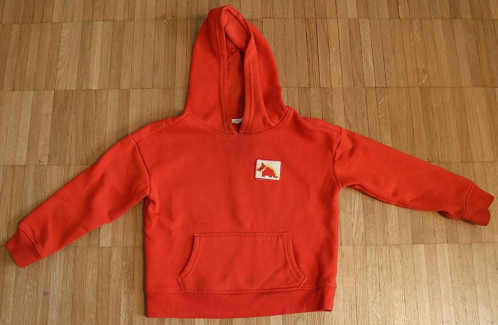 Maglioni & Felpe: 2x Kapuzenpullover Grösse 110 – Usato da Weisslingen venduto da debi1992 2