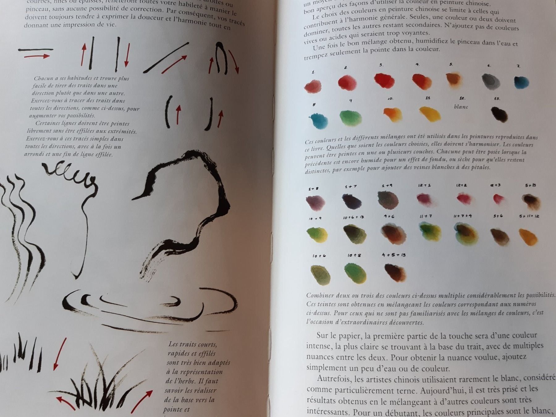 Libri: China Kalligraphie- und Malunterricht – Usato da Bévilard venduto da Orscha 3