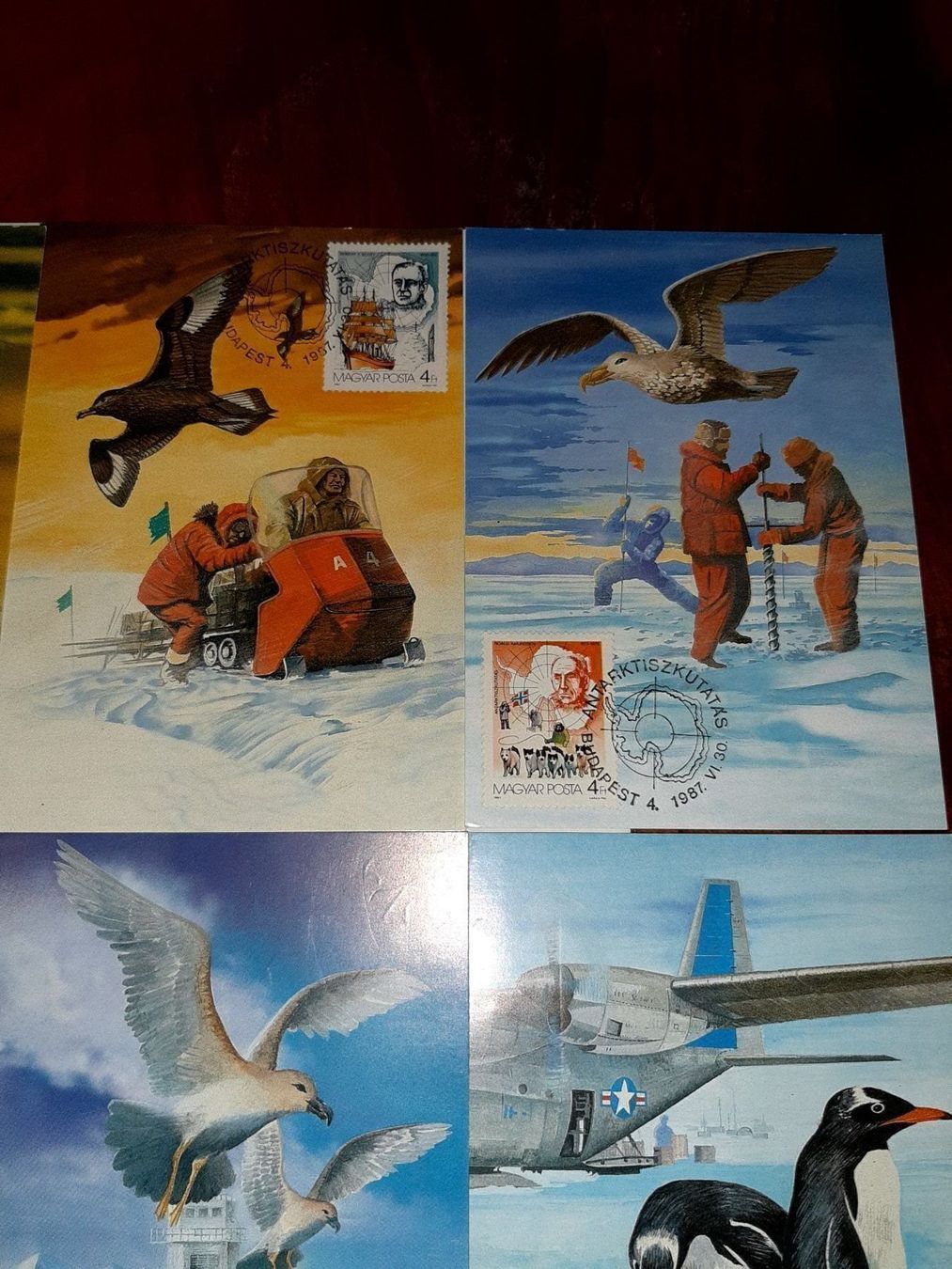 Ansichtskarten: 5 cartes postales antarctique magyar – Neu (gemäss Beschreibung) aus Le locle von juliensaran 3