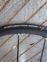 Rennrad Vorderrad 28” / 700C – OSB Ceramic Nabe – Continenta