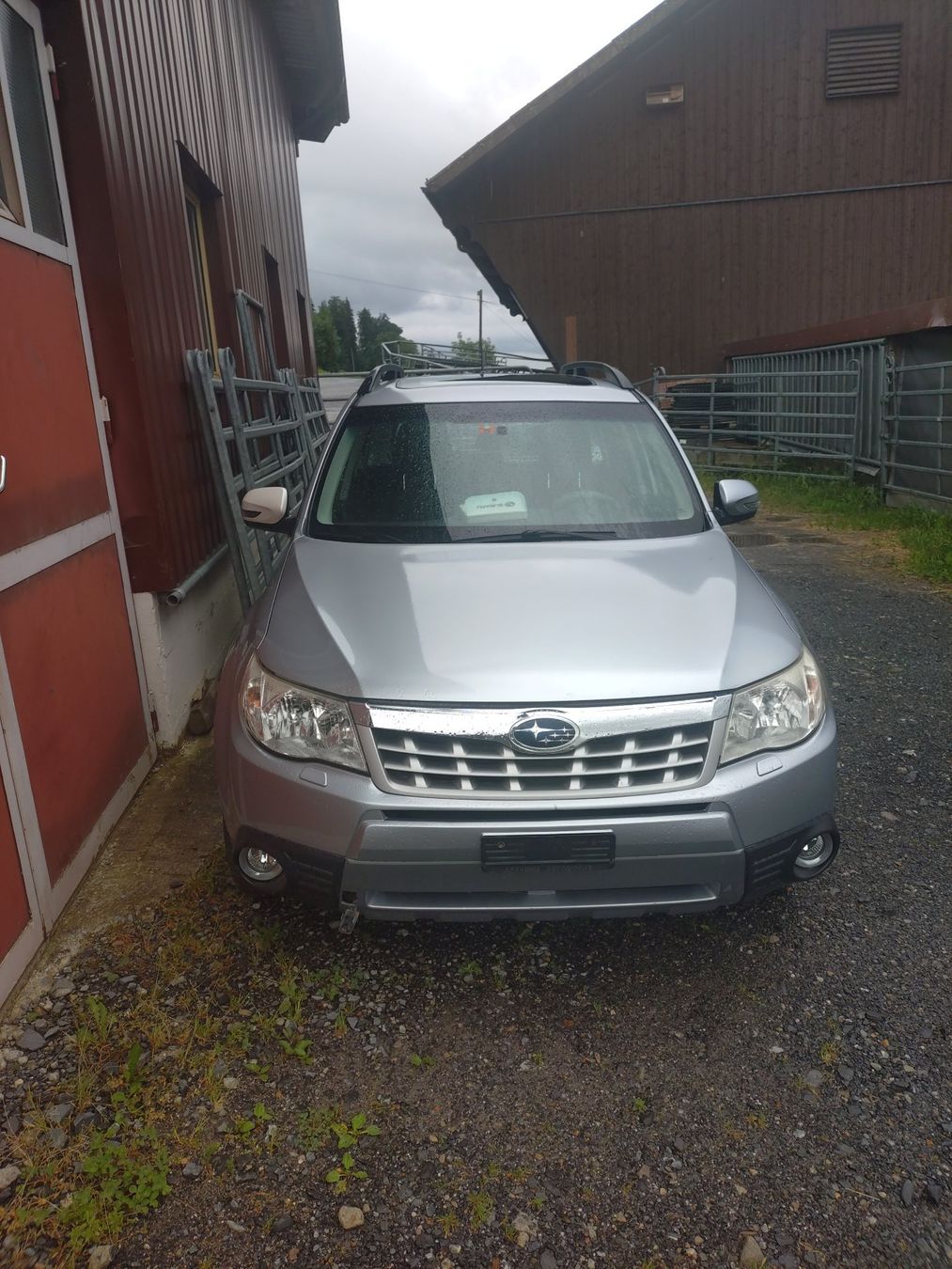 Subaru Automobili: Subaru Forester mit Motorschaden – Difettoso da Zugerberg venduto da Marcello81 1