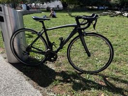 Specialized vélo route - Carbon frame 