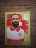 Panini WM 26
