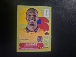Panini WM 26 ECU 6