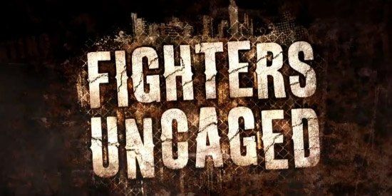 Microsoft Giochi: Fighters Uncaged Kinect  XB 360 – Usato da Schüpfheim venduto da Games_Spielkonsolen