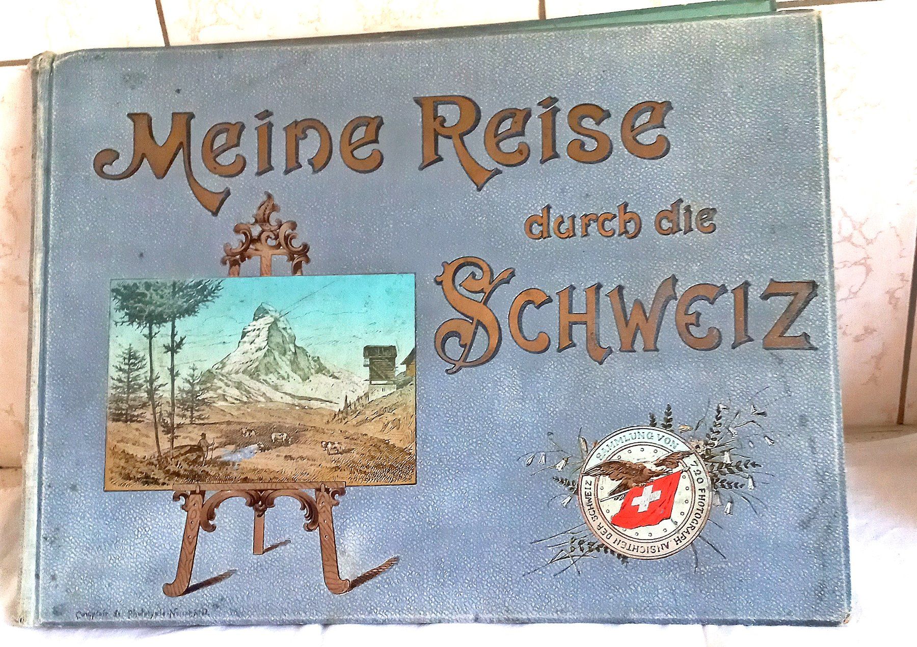 Libri: Meine Reise durch die Schweiz – Usato da Baar venduto da 2cvbaar