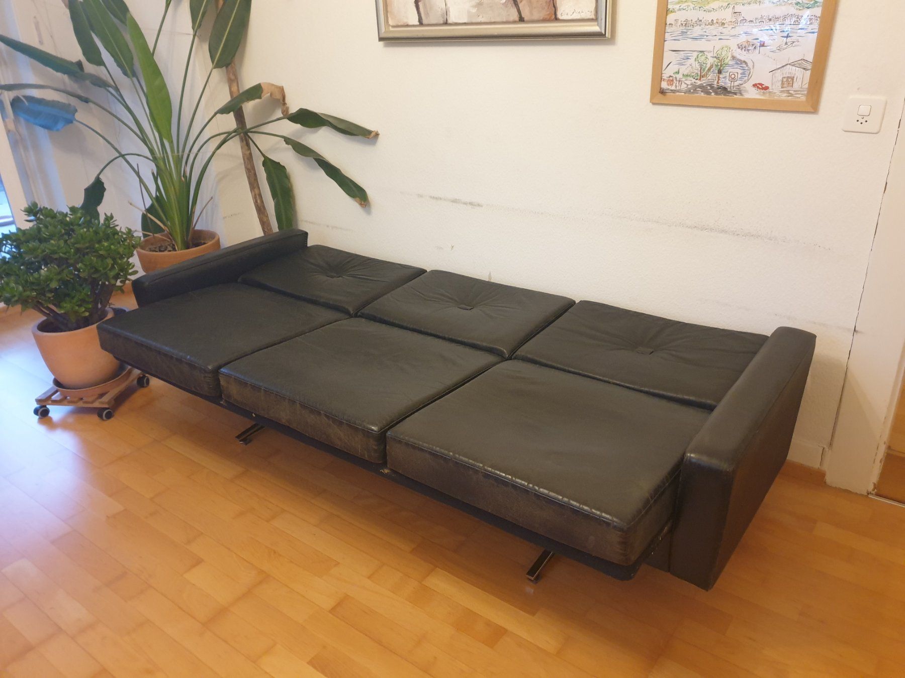 Divani: Leder Sofa Klassiker, schwarz, gebraucht – Usato da Uster venduto da Ghelfi01 1
