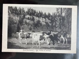 Schweiz 1909 AK La Chaux-de-Fond Tellknabe 5Rp Thierachern